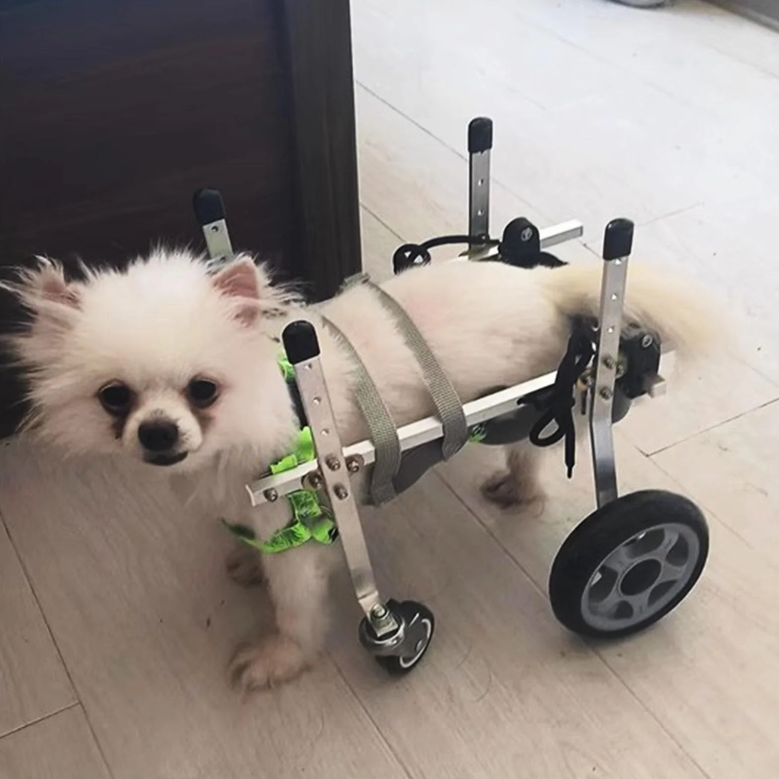 Hunderollstuhl mit vollständiger Unterstützung für kleine Hunde, verstellbar, 4 Räder, Li-Hilfe, Hinterbeinbandage, Trolley, ideal für Haustiere und Rehabilitat (Mama)
